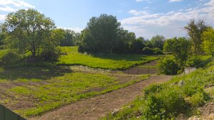 Stavebný pozemok so záhradou (1219 m2), Selešťany, okr. V. Krtíš. — foto 15