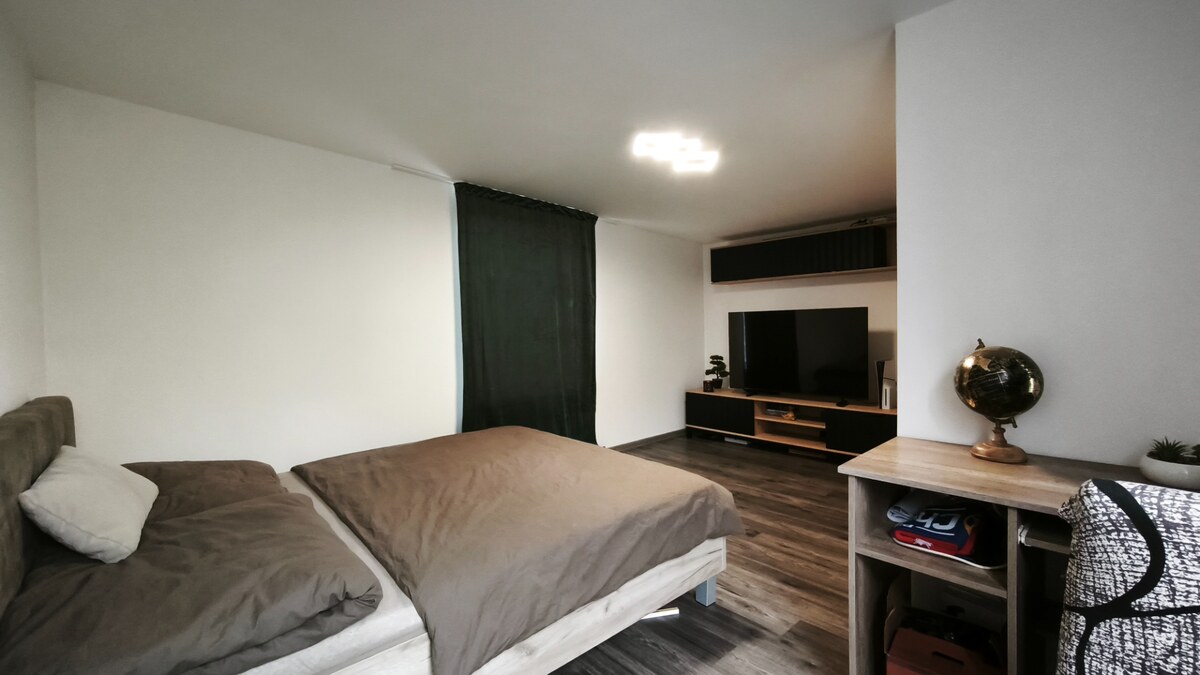 Jedinečný areál s dvoma domami na pozemku 5600 m² – D. Plachtince — foto 10