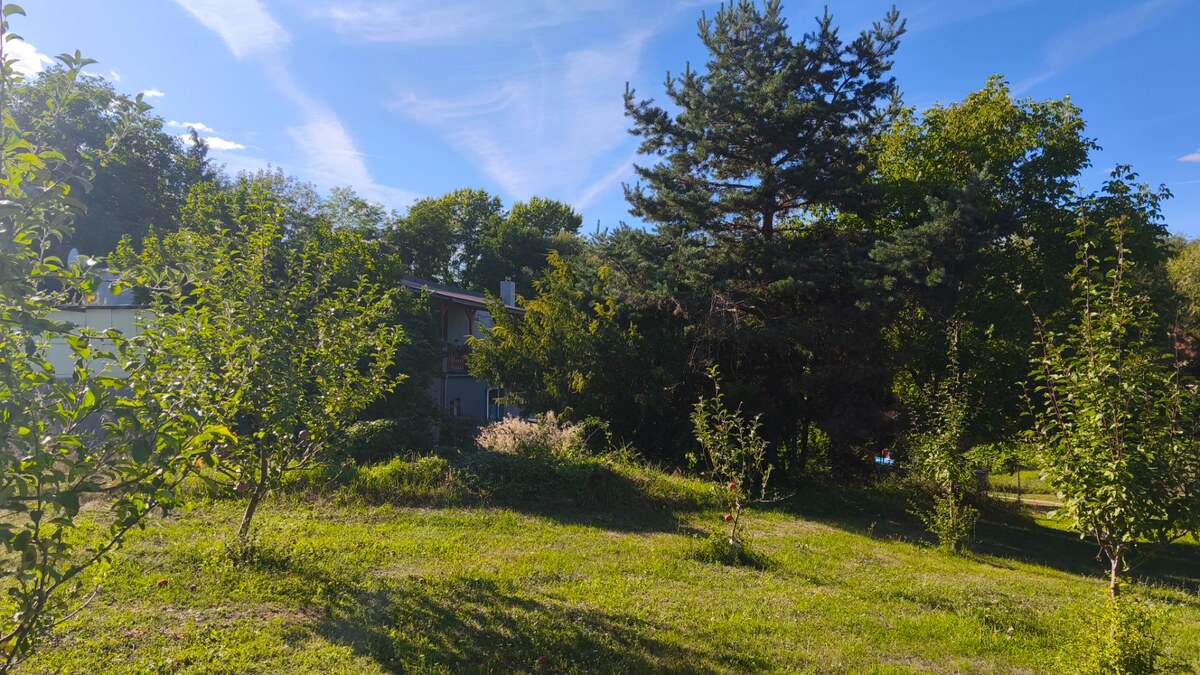 Jedinečný areál s dvoma domami na pozemku 5600 m² – D. Plachtince — foto 13