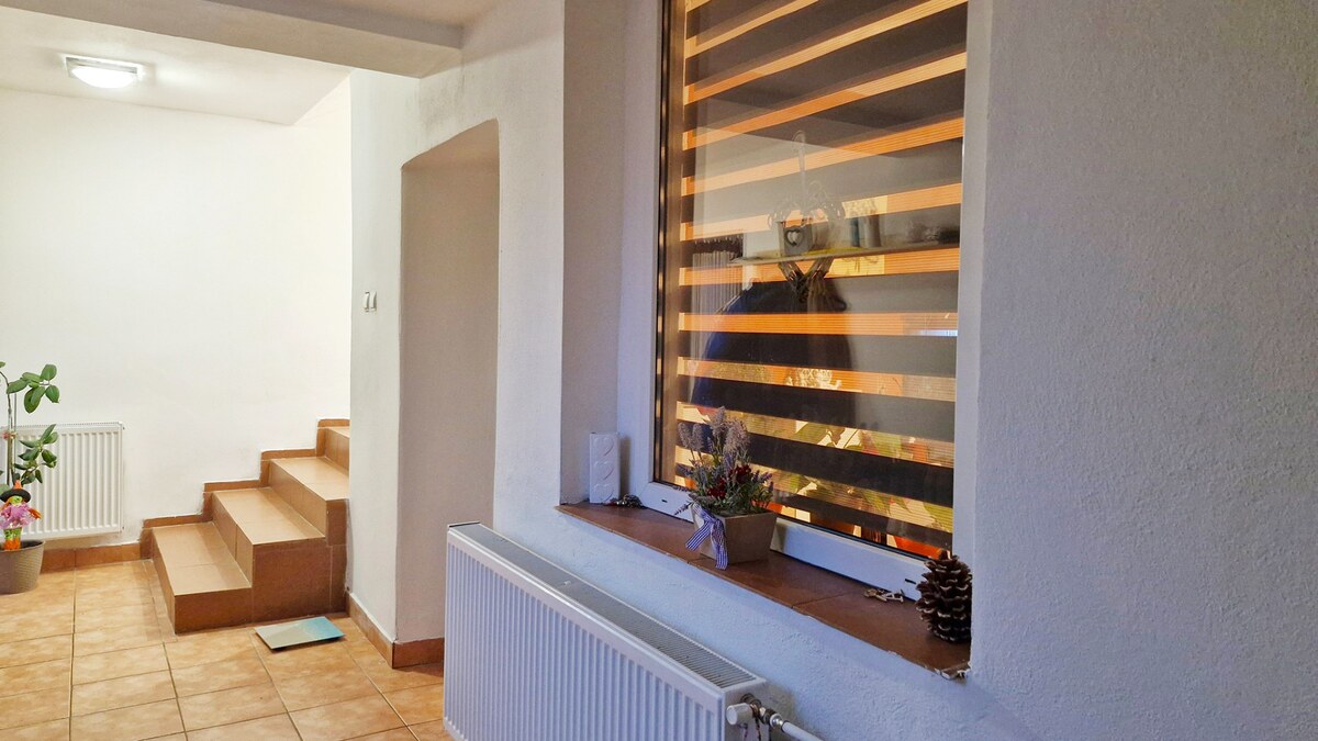 Jedinečný areál s dvoma domami na pozemku 5600 m² – D. Plachtince — foto 3