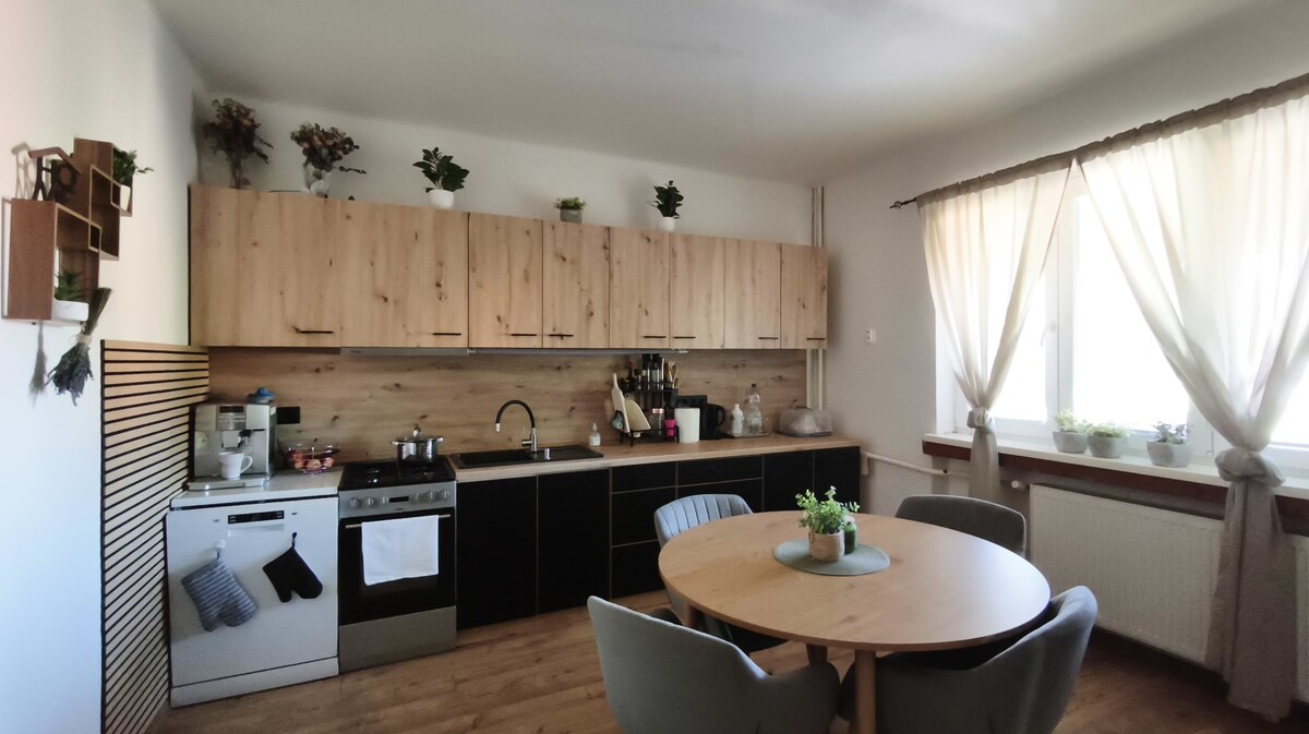 Jedinečný areál s dvoma domami na pozemku 5600 m² – D. Plachtince — foto 5