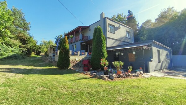 Jedinečný areál s dvoma domami na pozemku 5600 m² – D. Plachtince