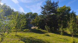 Jedinečný areál s dvoma domami na pozemku 5600 m² – D. Plachtince — foto 13