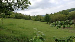 Dva vidiecke domy na pozemku 1,6ha D. Strehová (Prieloh), V. Krtíš. — foto 7