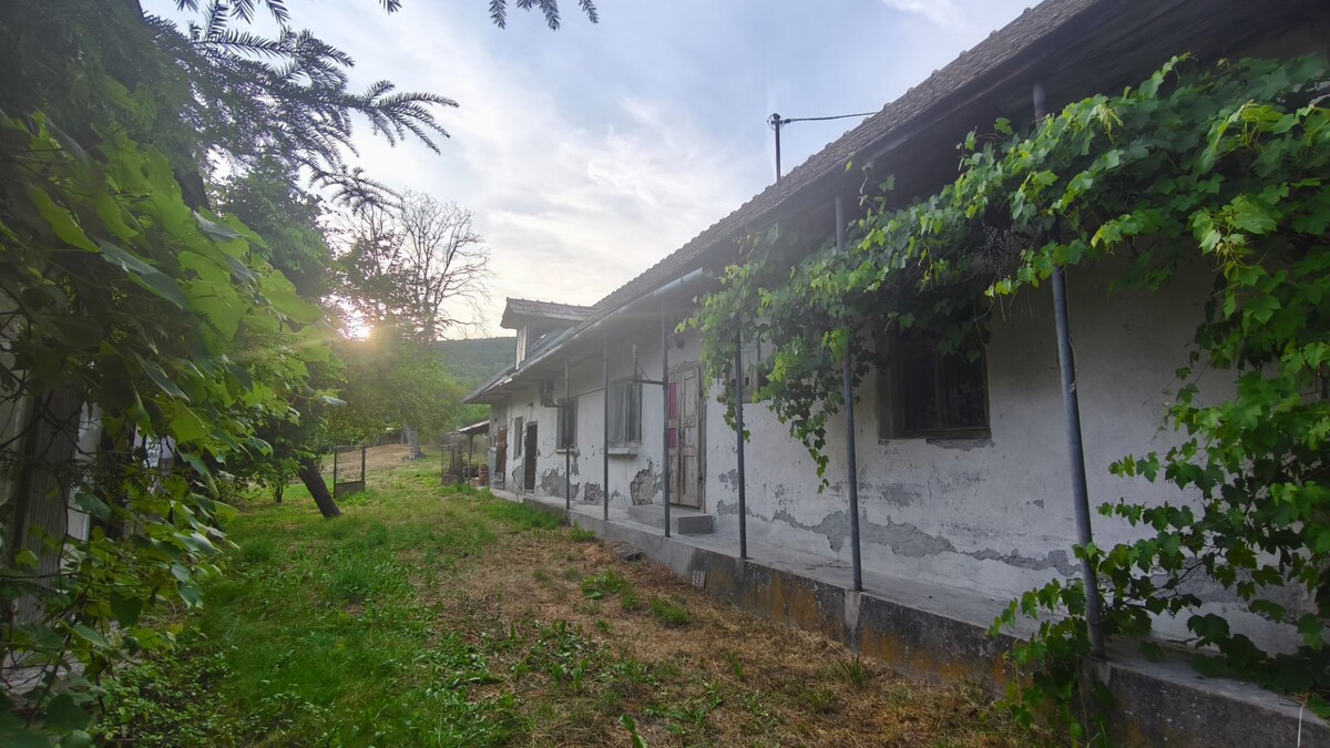 Kamenný vidiecky dom v obci Čelovce okres Veľký Krtíš. — foto 11