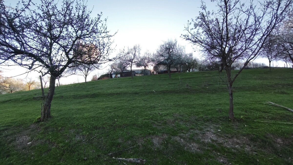 Znížená cena!!! RD (pozemok 9756 m2)  v osade Prieloh, okr. V. Krtíš. — foto 5