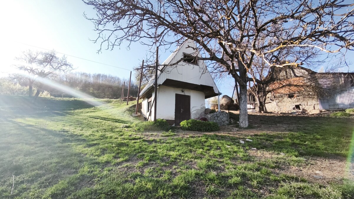 Znížená cena!!! RD (pozemok 9756 m2)  v osade Prieloh, okr. V. Krtíš. — foto 8