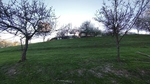 Znížená cena!!! RD (pozemok 9756 m2)  v osade Prieloh, okr. V. Krtíš. — foto 5