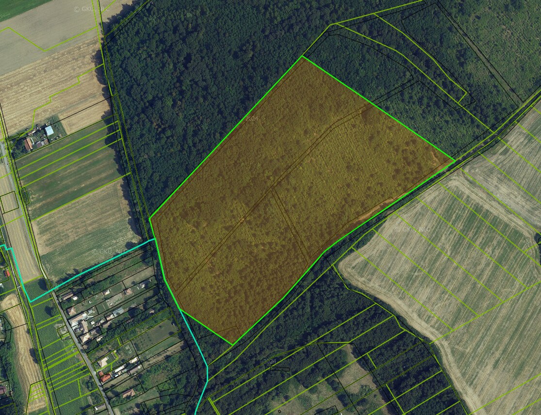 Na predaj 13,8 ha agropôdy v Trebušovciach – 11,5 ha ucelený pozemok — foto 10