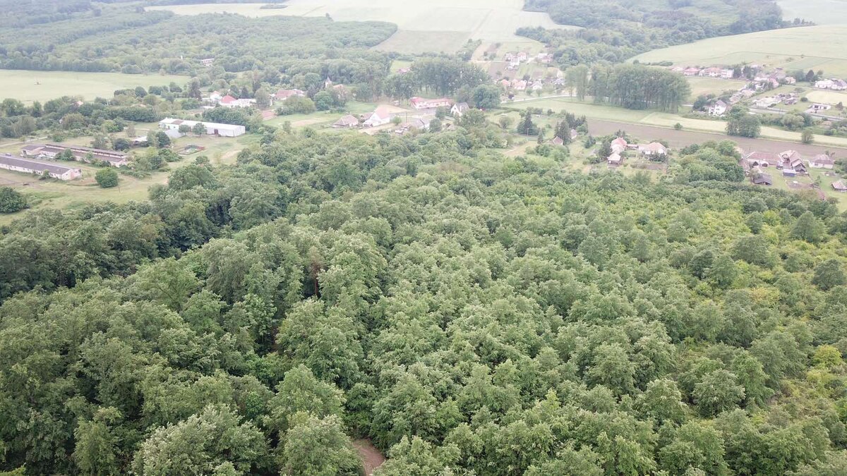 Na predaj 13,8 ha agropôdy v Trebušovciach – 11,5 ha ucelený pozemok — foto 2