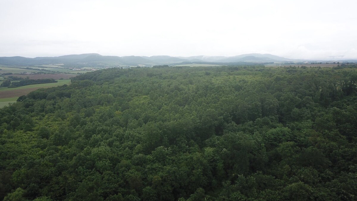 Na predaj 13,8 ha agropôdy v Trebušovciach – 11,5 ha ucelený pozemok — foto 4