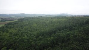 Na predaj 13,8 ha agropôdy v Trebušovciach – 11,5 ha ucelený pozemok — foto 4