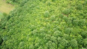 Na predaj 13,8 ha agropôdy v Trebušovciach – 11,5 ha ucelený pozemok — foto 5