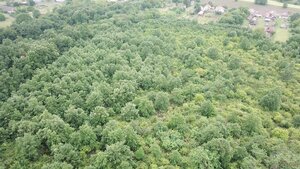 Na predaj 13,8 ha agropôdy v Trebušovciach – 11,5 ha ucelený pozemok — foto 6