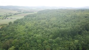 Na predaj 13,8 ha agropôdy v Trebušovciach – 11,5 ha ucelený pozemok — foto 8