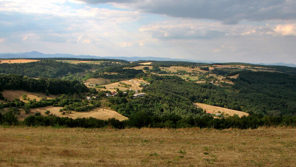 Pozemok (17 041m2) v obci Hrušov okr. Veľký Krtíš.