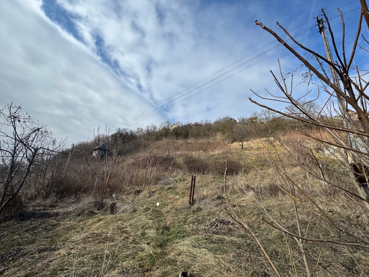 Na predaj: Rekreačný svahovitý pozemok v Šahách -11527m