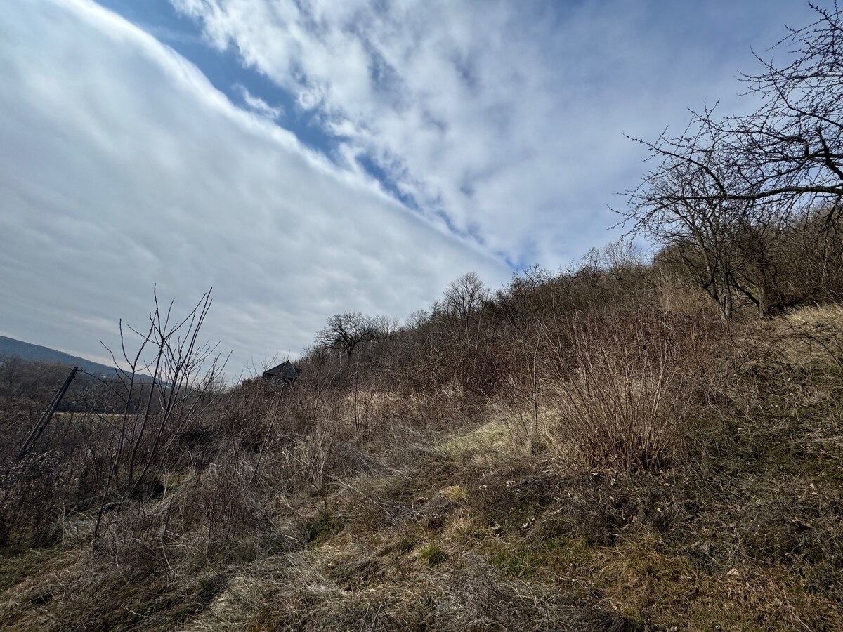 Na predaj: Rekreačný svahovitý pozemok v Šahách -11527m — foto 8