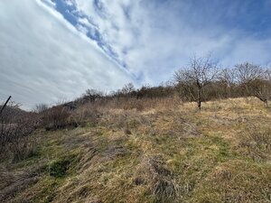 Na predaj: Rekreačný svahovitý pozemok v Šahách -11527m — foto 11