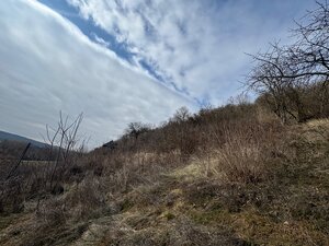 Na predaj: Rekreačný svahovitý pozemok v Šahách -11527m — foto 8
