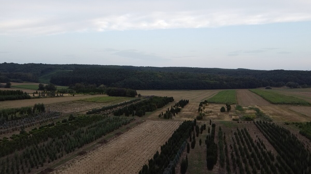 Poľnohospodári, investori pozor!  25 954m2 — foto 10