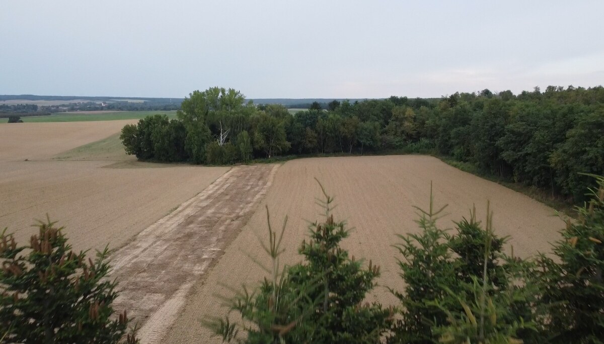 Poľnohospodári, investori pozor!  25 954m2 — foto 5