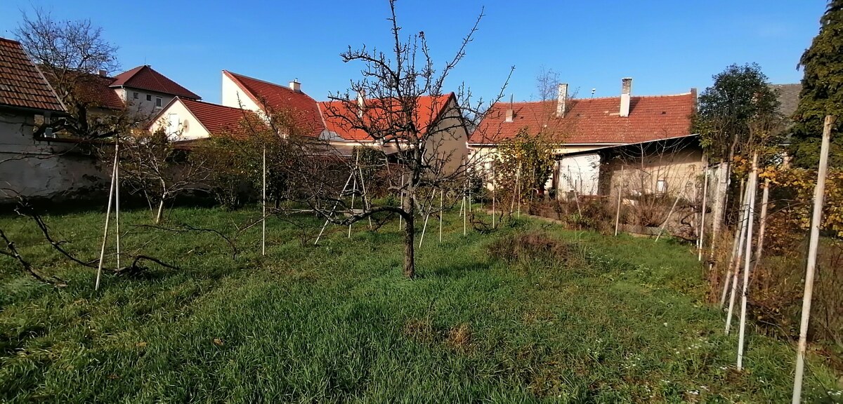 Exkluzívne Na predaj starší R Dom v Šahách  L Štúra — foto 4