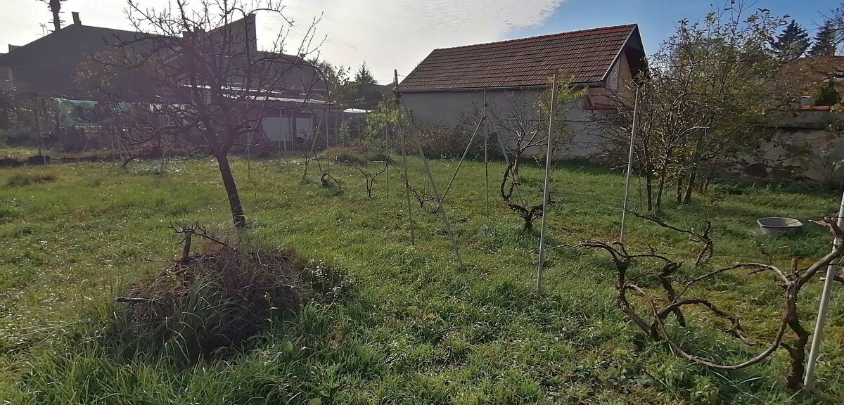 Exkluzívne Na predaj starší R Dom v Šahách  L Štúra — foto 5
