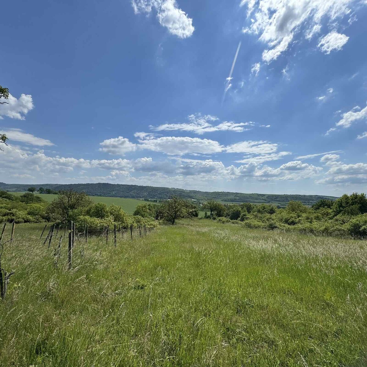Rozľahlý pozemok (5820 m²) v lone prírody – Dolné Terany, okr. Krupina