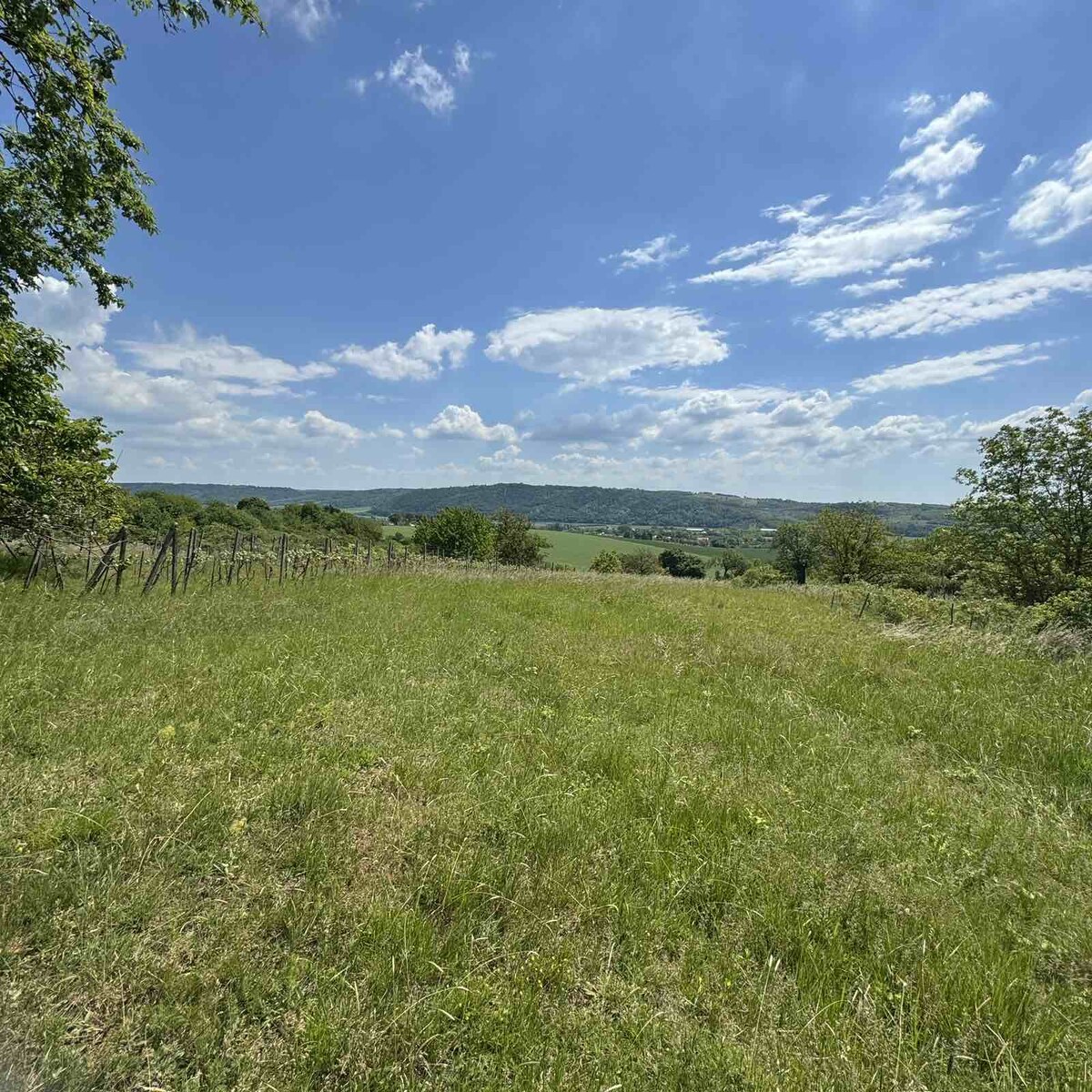 Rozľahlý pozemok (5820 m²) v lone prírody – Dolné Terany, okr. Krupina — foto 10