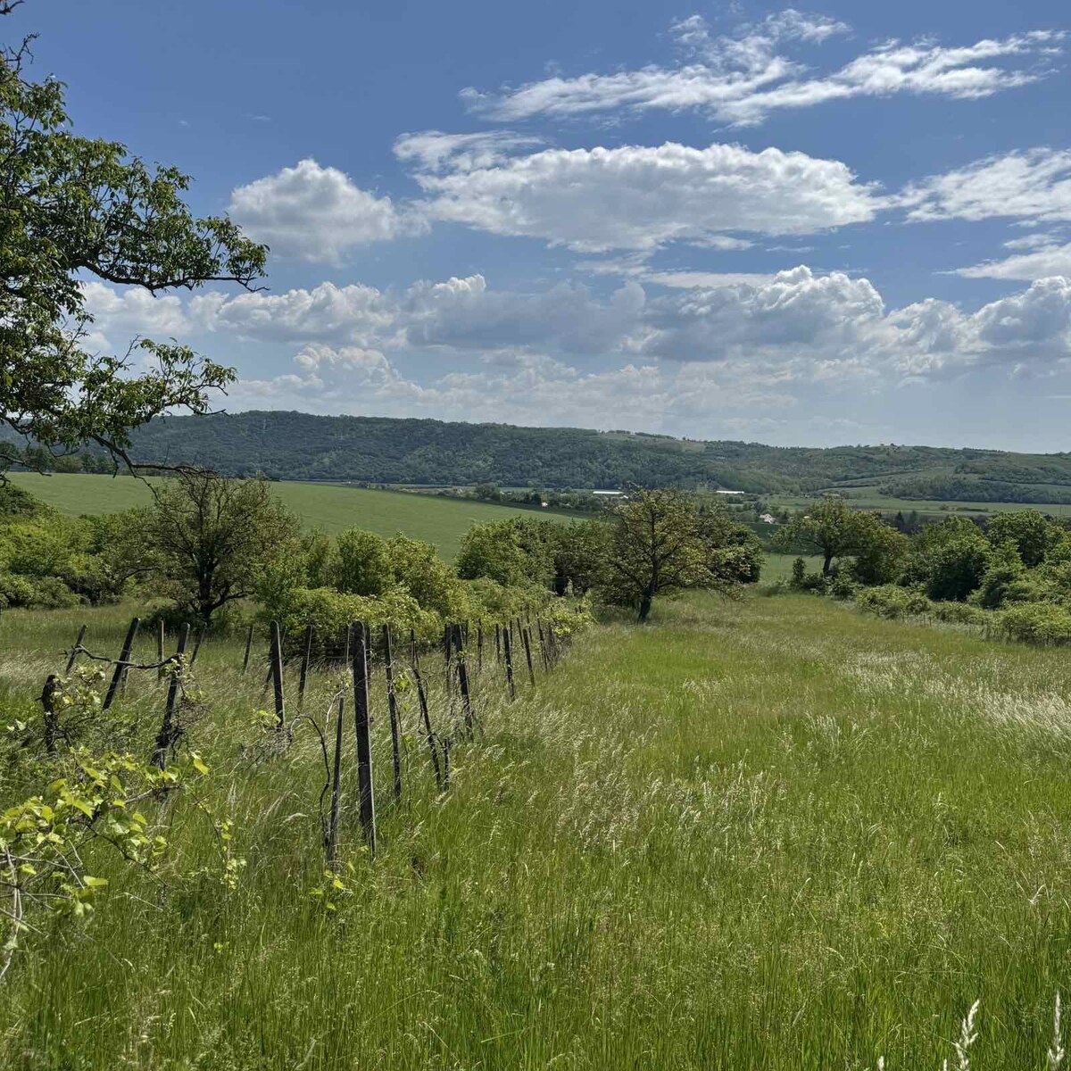 Rozľahlý pozemok (5820 m²) v lone prírody – Dolné Terany, okr. Krupina — foto 2