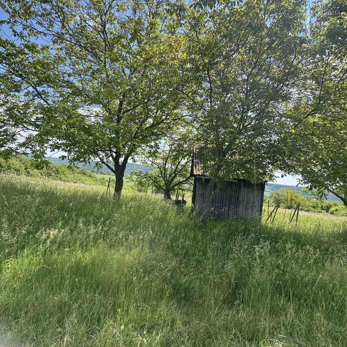 Rozľahlý pozemok (5820 m²) v lone prírody – Dolné Terany, okr. Krupina — foto 9