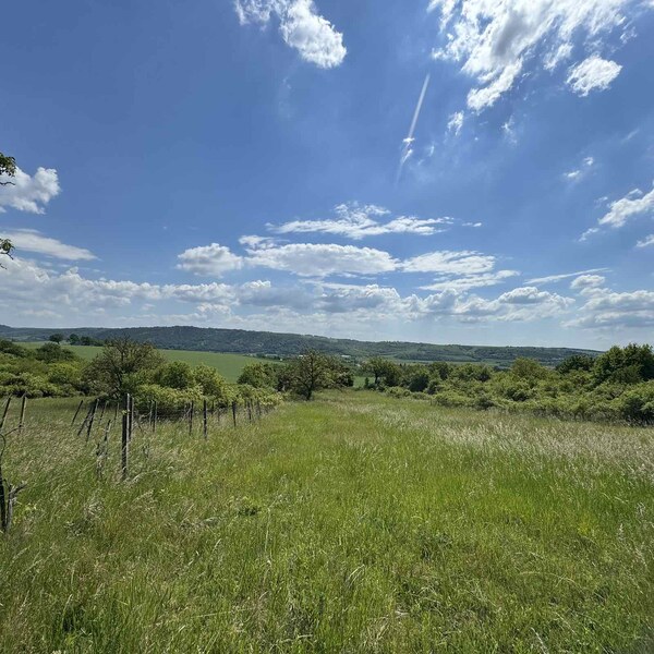 Rozľahlý pozemok (5820 m²) v lone prírody – Dolné Terany, okr. Krupina