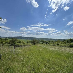 Rozľahlý pozemok (5820 m²) v lone prírody – Dolné Terany, okr. Krupina — foto 1