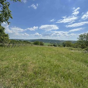 Rozľahlý pozemok (5820 m²) v lone prírody – Dolné Terany, okr. Krupina — foto 10
