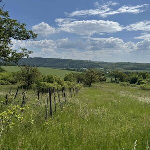 Rozľahlý pozemok (5820 m²) v lone prírody – Dolné Terany, okr. Krupina — foto 2