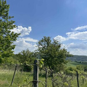 Rozľahlý pozemok (5820 m²) v lone prírody – Dolné Terany, okr. Krupina — foto 3