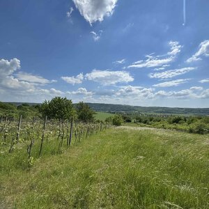 Rozľahlý pozemok (5820 m²) v lone prírody – Dolné Terany, okr. Krupina — foto 7