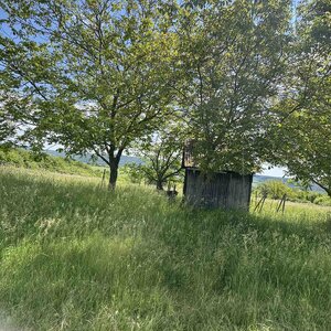 Rozľahlý pozemok (5820 m²) v lone prírody – Dolné Terany, okr. Krupina — foto 9