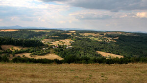 Pozemok (3,1ha) na Hrušove okres Veľký Krtíš s panoramatickým výhľadom — foto 1