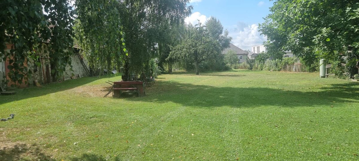 Na predaj starší sedliacky R. dom  s obrovským pozemkom  2924m2 — foto 12
