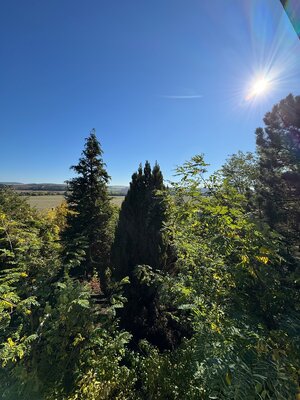 Na predaj chatka na rekonštrukciu s veľkým pozemkom – Veľké Turovce — foto 8