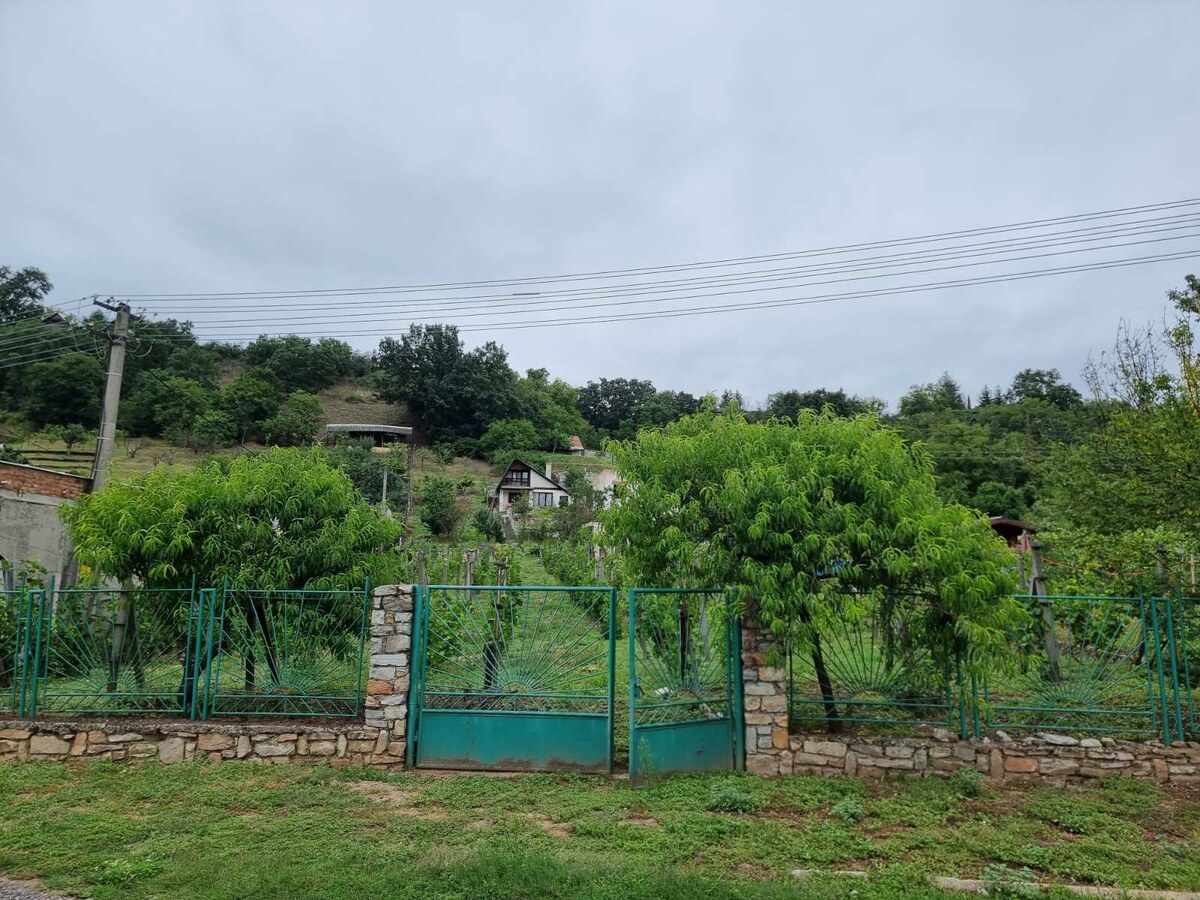 Predaj chaty vo vinárskej oblasti v Šahách, okres Levice — foto 14