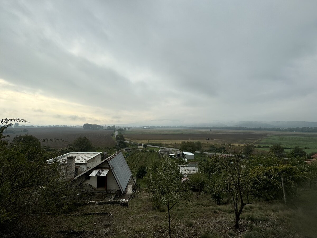Predaj chaty vo vinárskej oblasti v Šahách, okres Levice — foto 18