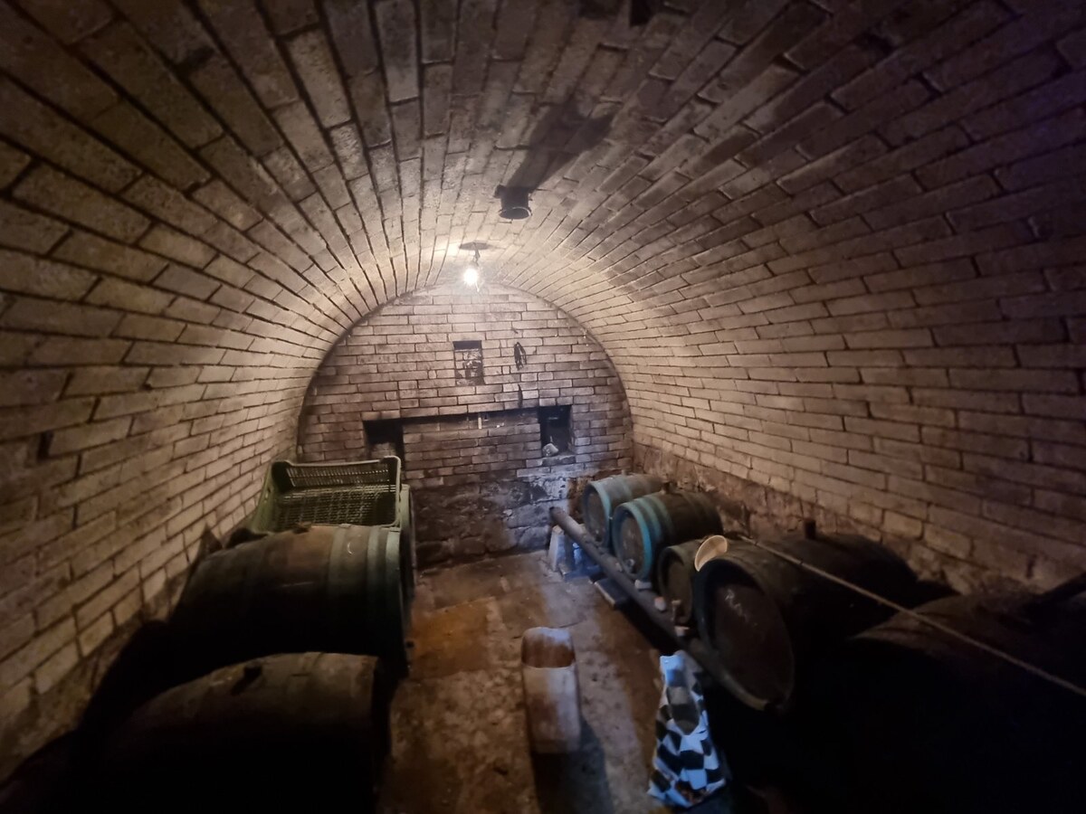 Predaj chaty vo vinárskej oblasti v Šahách, okres Levice — foto 9
