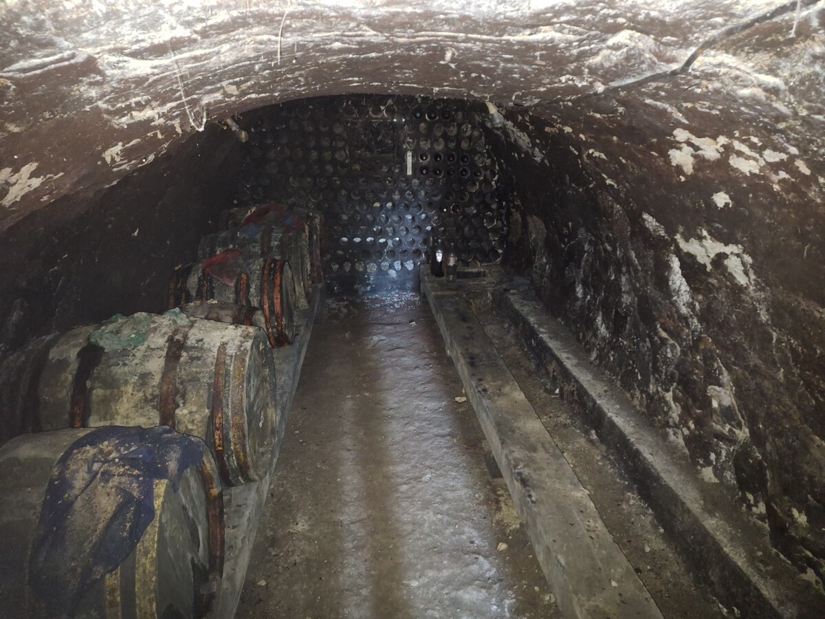 Ponúkame Vám na predaj chatu, rekreačný domček v obci Veľké Turovce — foto 13