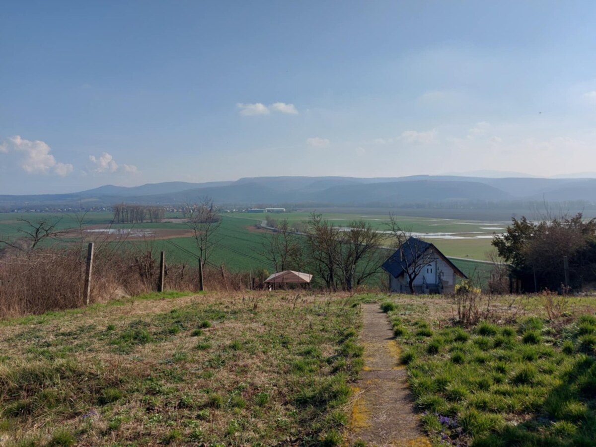 Predám vinicu s chatkou v Šahách – ideálne miesto pre oddych! — foto 16