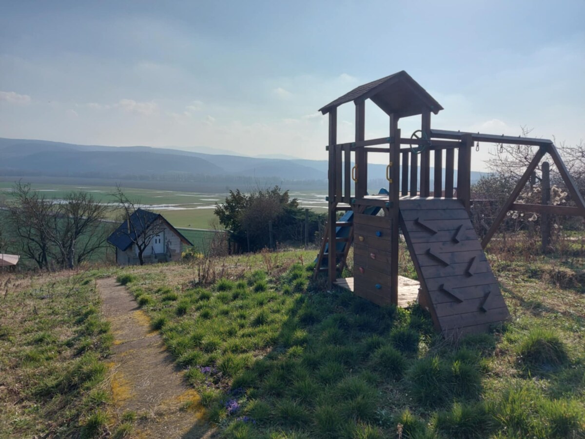 Predám vinicu s chatkou v Šahách – ideálne miesto pre oddych! — foto 17
