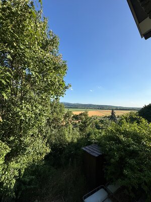 Predám vinicu s chatkou v Šahách – ideálne miesto pre oddych! — foto 9