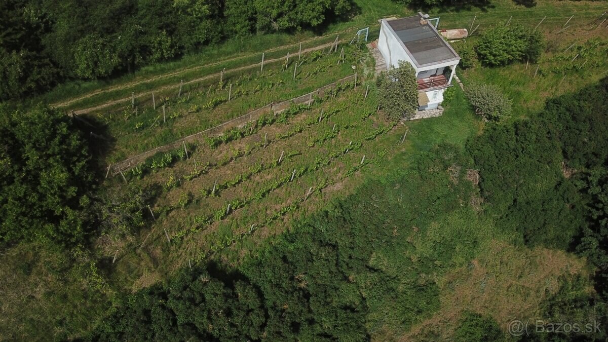 Predaj chaty s rekreačným pozemkom v Šahách, okres Levice — foto 3